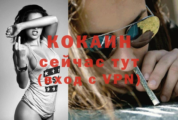 твердый Горно-Алтайск
