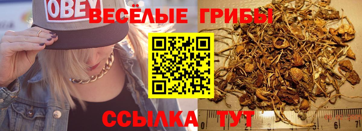 Галлюциногенные грибы ЛСД Донецк