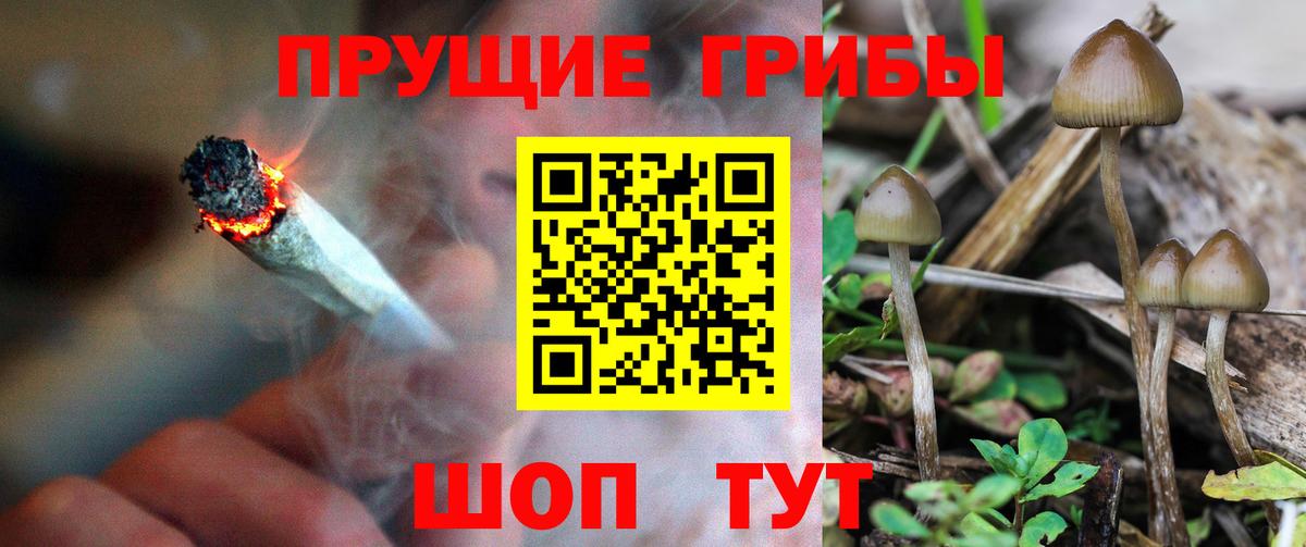 Галлюциногенные грибы ЛСД Донецк